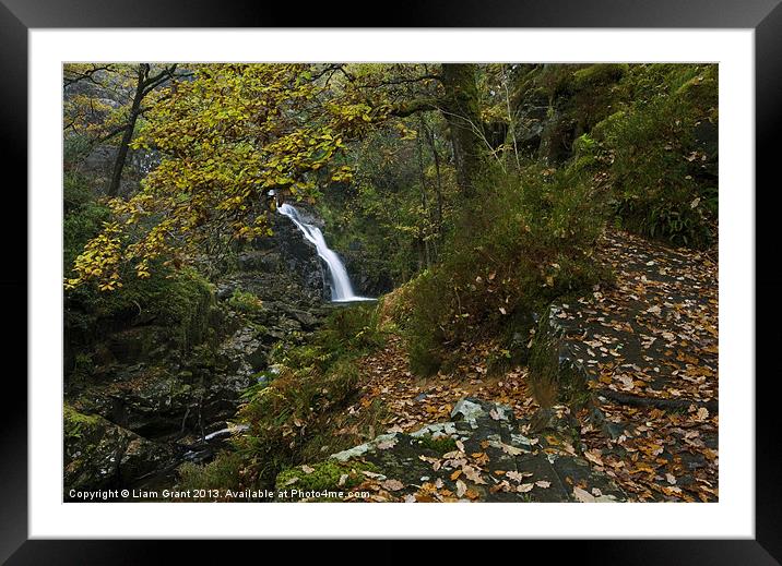 Pistyll y Cain Falls/North Wales Framed Mounted Print by Liam Grant