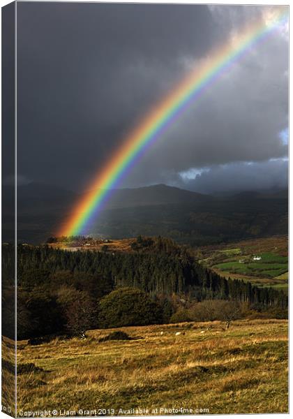 Hafodgwenllian/Lledr Valley/Snowdonia/North Wales Canvas Print by Liam Grant