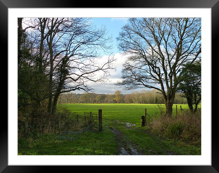 Gateway to Field in Kent Framed Mounted Print by Ursula Keene