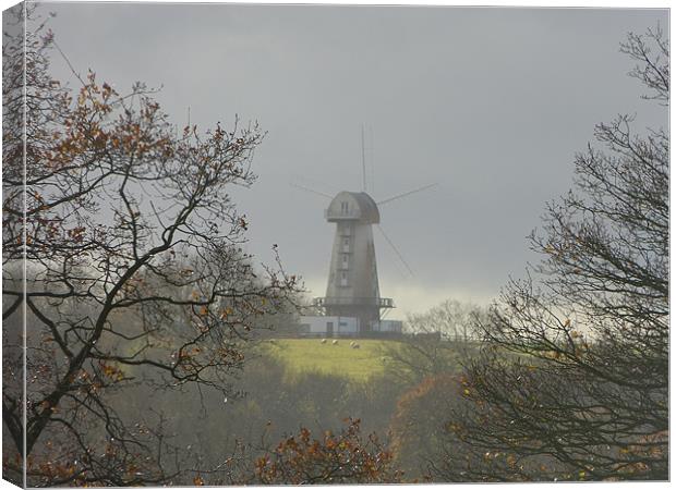 Windmill near Sandhurst Kent Canvas Print by Ursula Keene