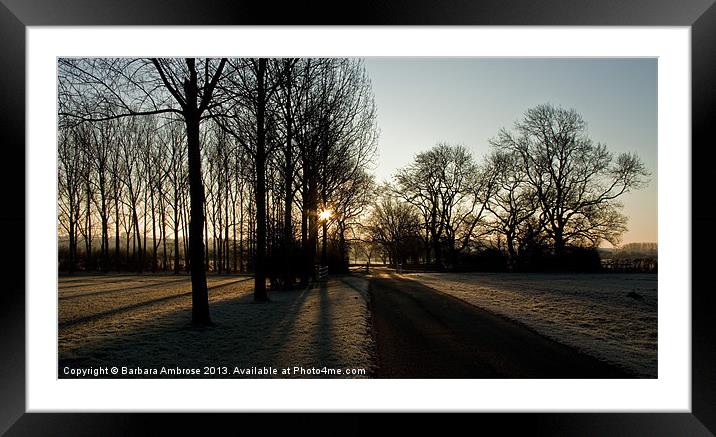 Sunrise on frost Framed Mounted Print by Barbara Ambrose