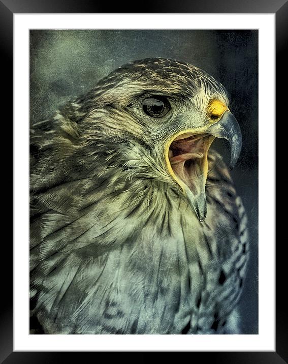 Call Of The Wild Framed Mounted Print by clint hudson