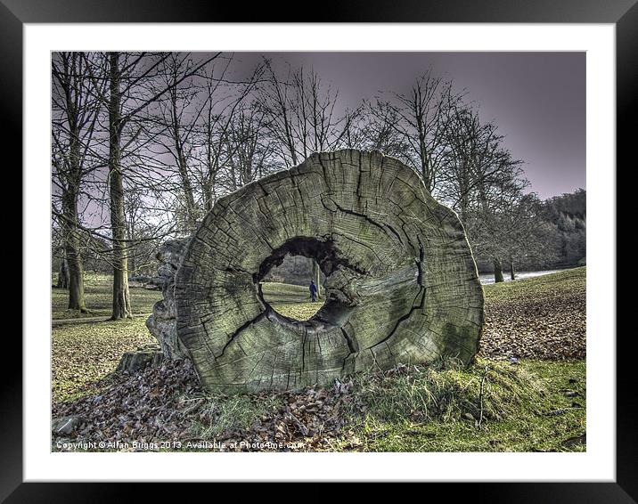 Fallen Tree Framed Mounted Print by Allan Briggs