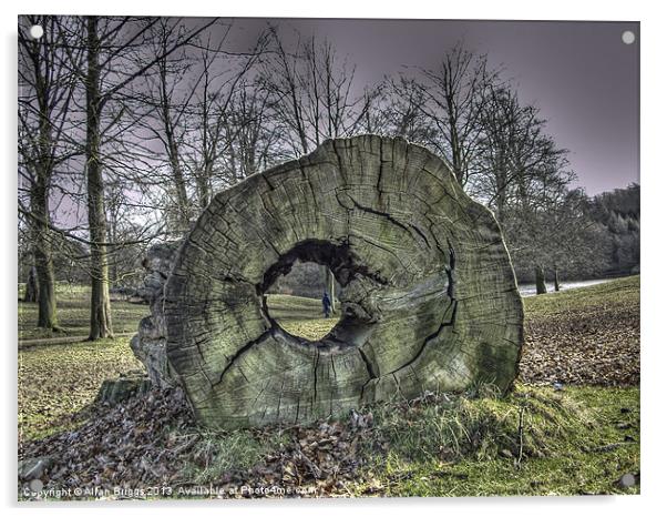 Fallen Tree Acrylic by Allan Briggs