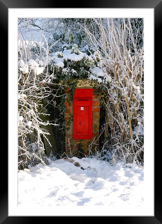 post box in the snow Framed Mounted Print by Lynne Easton