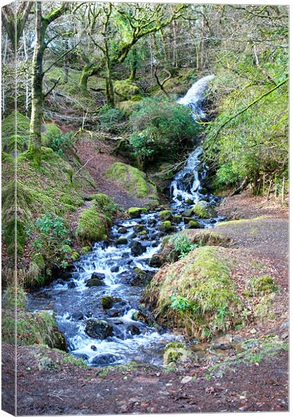 babbling stream on Dartmoor Canvas Print by Lynne Easton