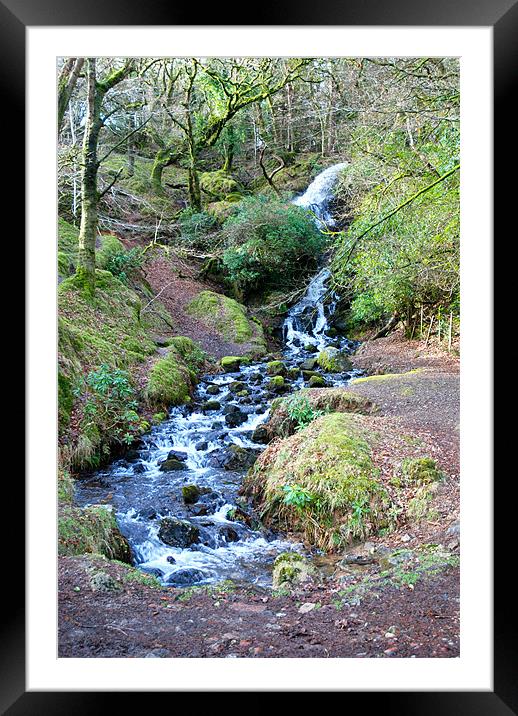 babbling stream on Dartmoor Framed Mounted Print by Lynne Easton