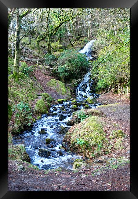 babbling stream on Dartmoor Framed Print by Lynne Easton