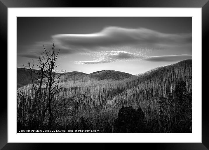 Gums of Grey Framed Mounted Print by Mark Lucey