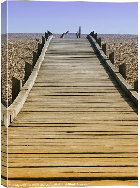 Dungeness Foot Path Canvas Print by Liz Ward