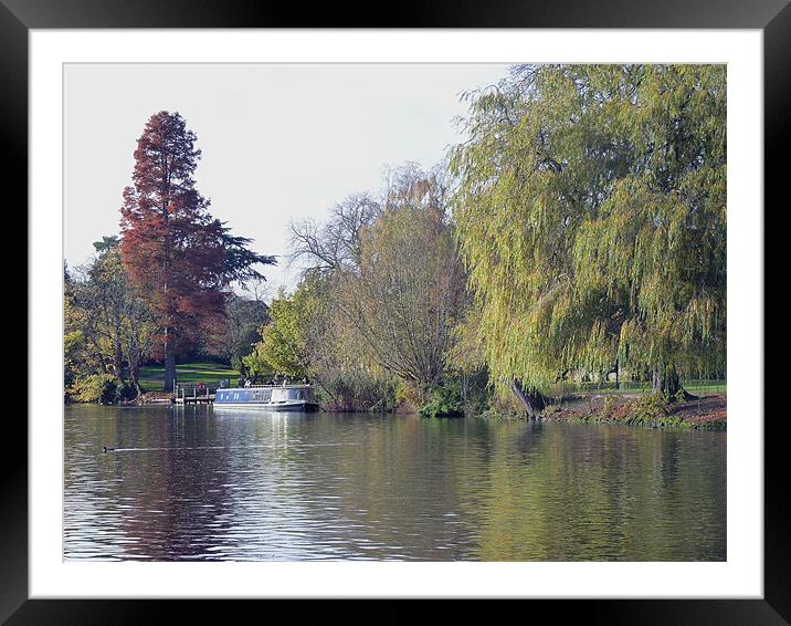 House Boat on River Avon Framed Mounted Print by Tony Murtagh