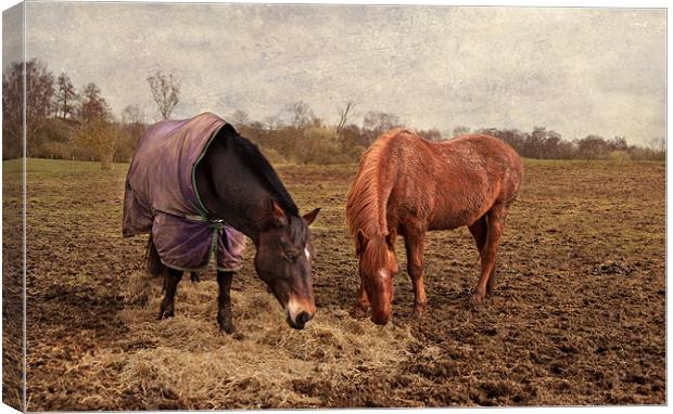 Lunch for Two Canvas Print by Dawn Cox