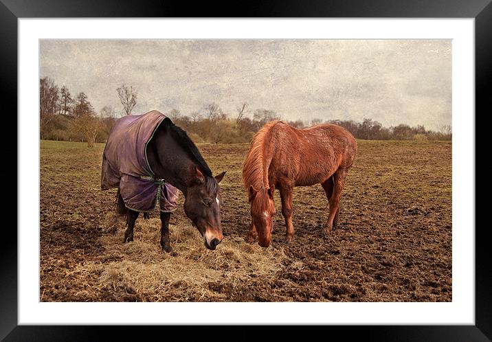 Lunch for Two Framed Mounted Print by Dawn Cox