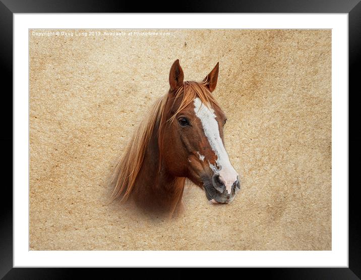 Portrait of a Mare Framed Mounted Print by Doug Long
