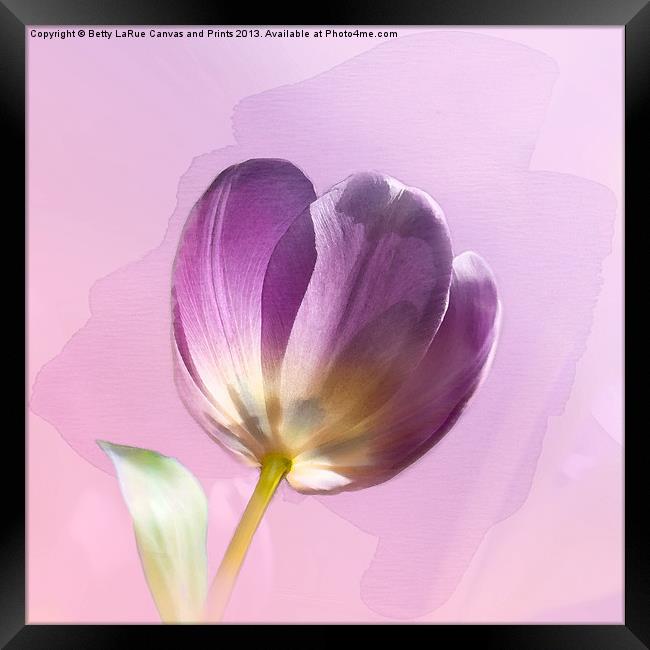 Blissfully Purple Framed Print by Betty LaRue