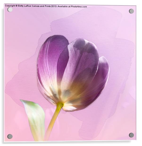 Blissfully Purple Acrylic by Betty LaRue