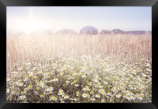 Sunshine over the Fields Framed Print by Natalie Kinnear