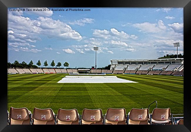 Hampshire County Cricket Ground Framed Print by Terri Waters