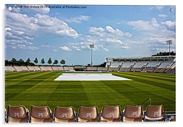 Hampshire County Cricket Ground Acrylic by Terri Waters