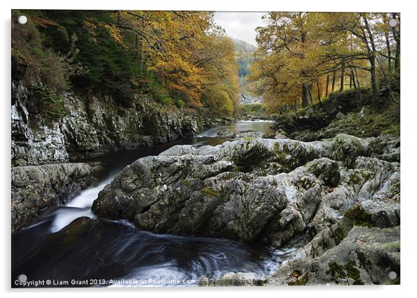 Afon Llugwy, Betws y Coed, Snowdonia, North Wales, Acrylic by Liam Grant