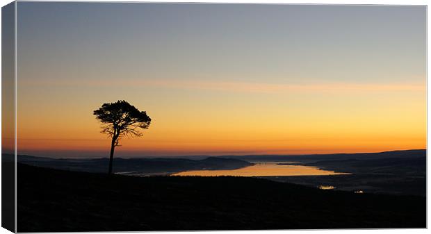 Beauly firth Canvas Print by Macrae Images