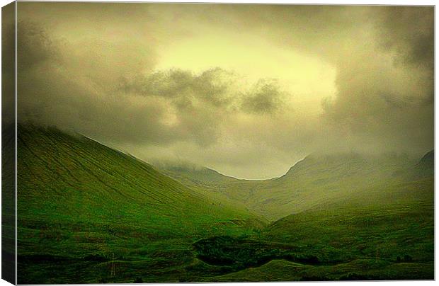 highland mood Canvas Print by dale rys (LP)