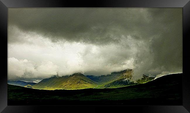 highland scene Framed Print by dale rys (LP)