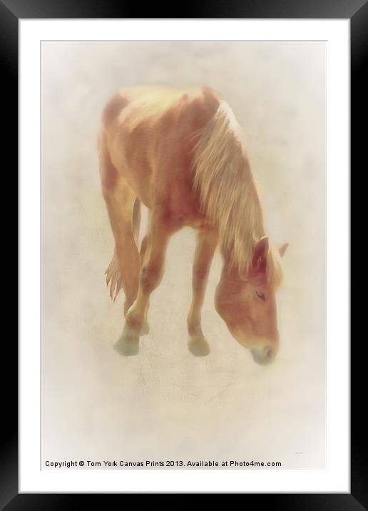 GRAZING TIME Framed Mounted Print by Tom York