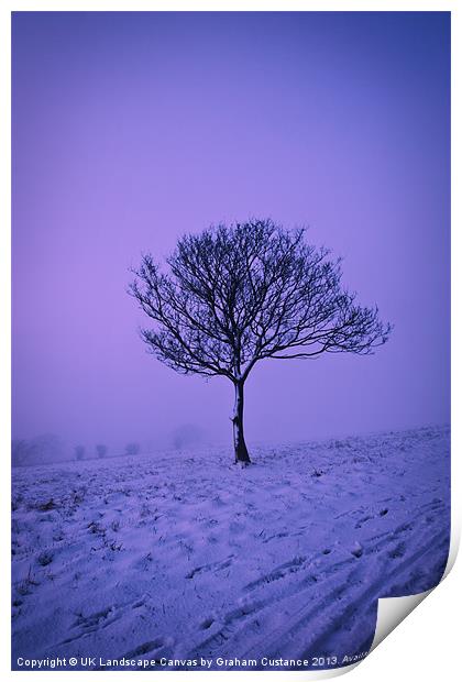 Lone Tree in Winter Print by Graham Custance