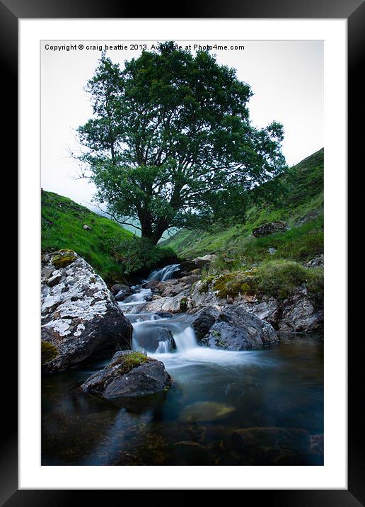 Glenshee Tree Framed Mounted Print by craig beattie