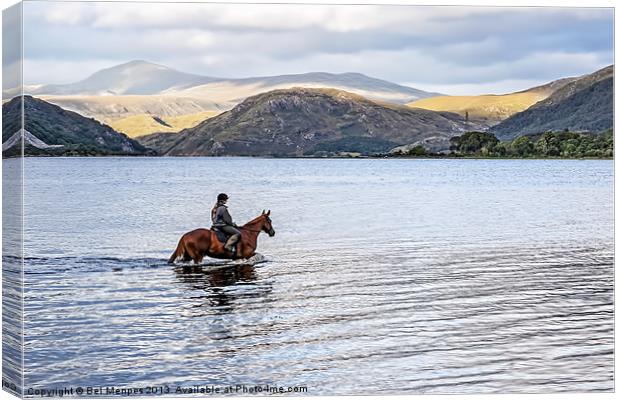 Horse at Airds Bay Loch Etive Canvas Print by Bel Menpes