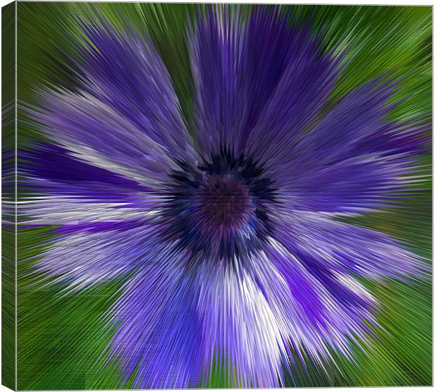 Abstract Blue Anemone Canvas Print by Bill Simpson