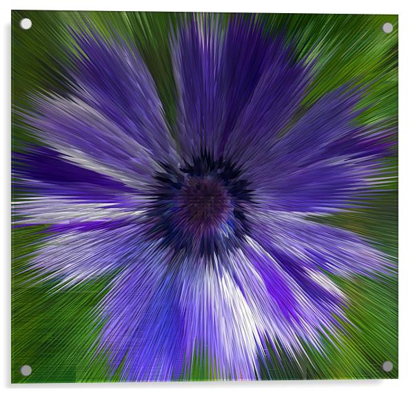 Abstract Blue Anemone Acrylic by Bill Simpson
