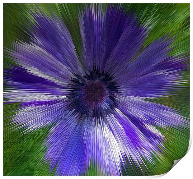 Abstract Blue Anemone Print by Bill Simpson