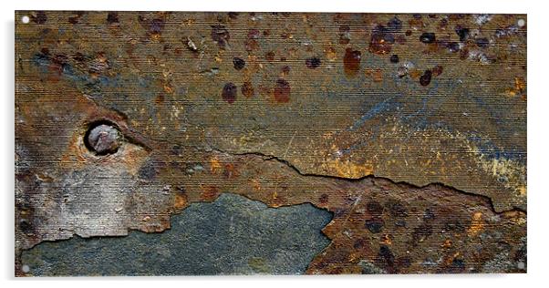 rusted landscape Acrylic by Heather Newton