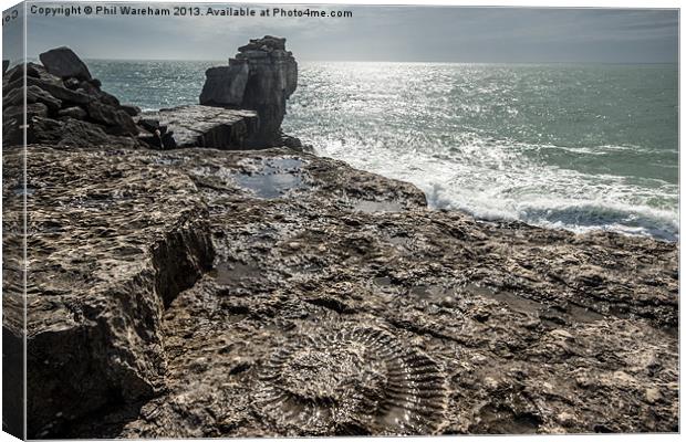 Fossil and Pulpit Rock Canvas Print by Phil Wareham