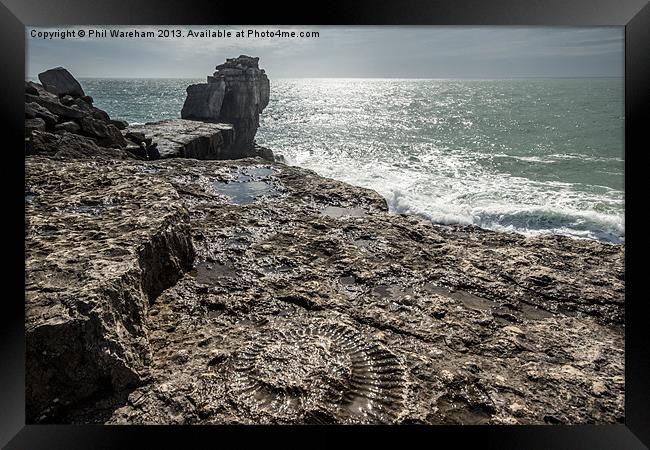 Fossil and Pulpit Rock Framed Print by Phil Wareham