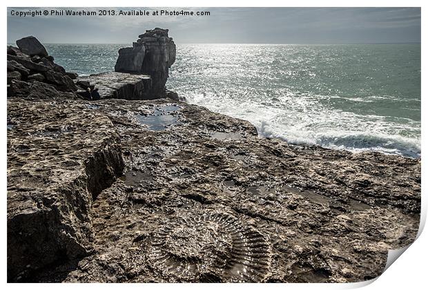 Fossil and Pulpit Rock Print by Phil Wareham