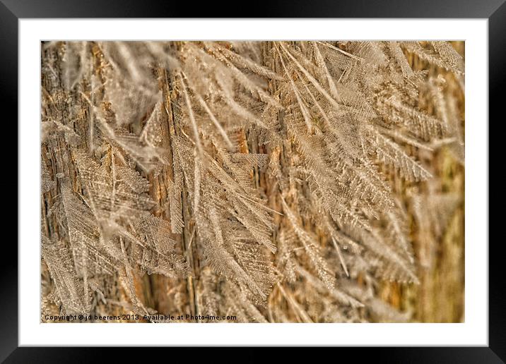 feathery frost Framed Mounted Print by Jo Beerens
