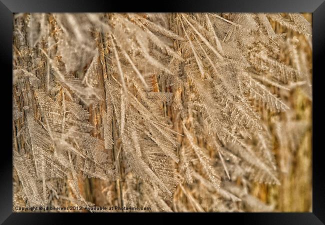 feathery frost Framed Print by Jo Beerens