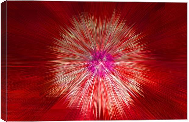 Abstract Extruded Dandylion Seedhead Canvas Print by Bill Simpson