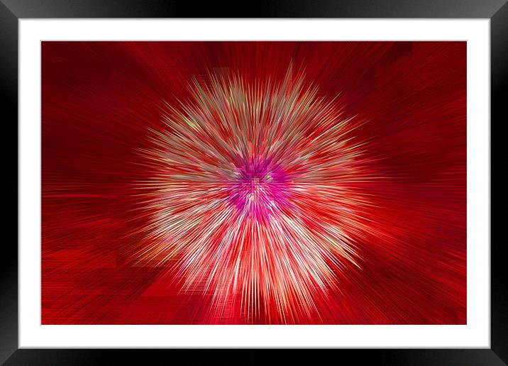 Abstract Extruded Dandylion Seedhead Framed Mounted Print by Bill Simpson