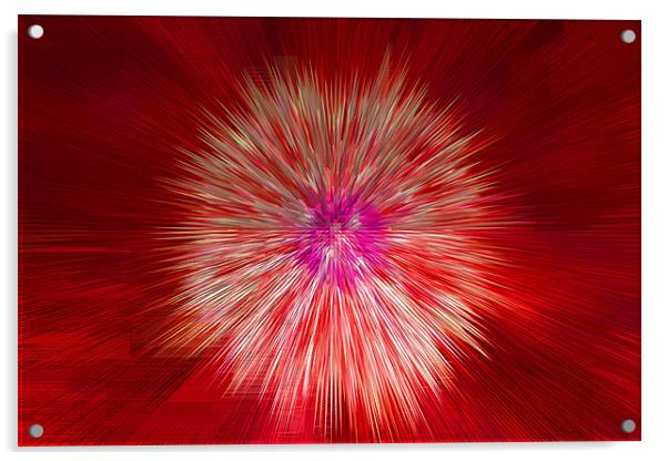 Abstract Extruded Dandylion Seedhead Acrylic by Bill Simpson