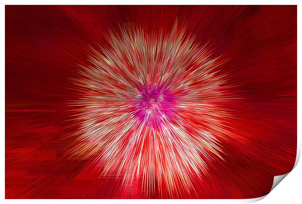 Abstract Extruded Dandylion Seedhead Print by Bill Simpson
