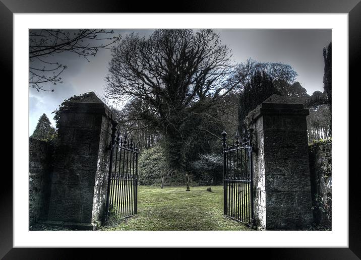 Cemetery Gates Framed Mounted Print by Steve Duckworth