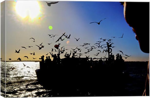 Sundown gulls and the ferry Canvas Print by Arfabita  
