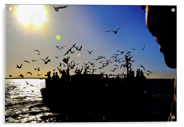 Sundown gulls and the ferry Acrylic by Arfabita  