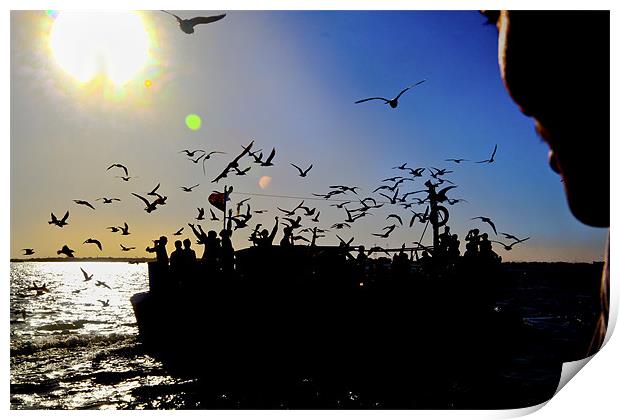 Sundown gulls and the ferry Print by Arfabita  