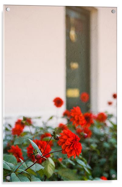 Red Flowers Acrylic by Mark Llewellyn
