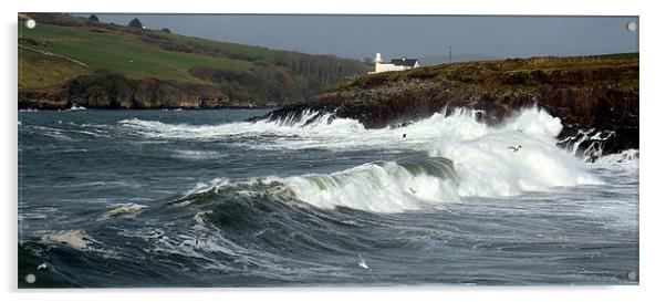 Dingle Acrylic by barbara walsh